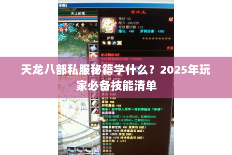 天龙八部私服秘籍学什么？2025年玩家必备技能清单