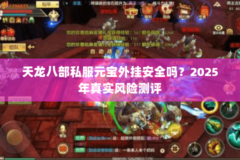 天龙八部私服元宝外挂安全吗？2025年真实风险测评