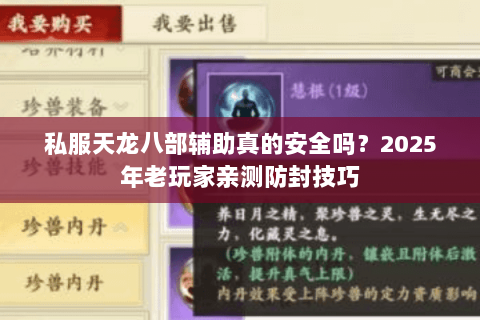 私服天龙八部辅助真的安全吗？2025年老玩家亲测防封技巧