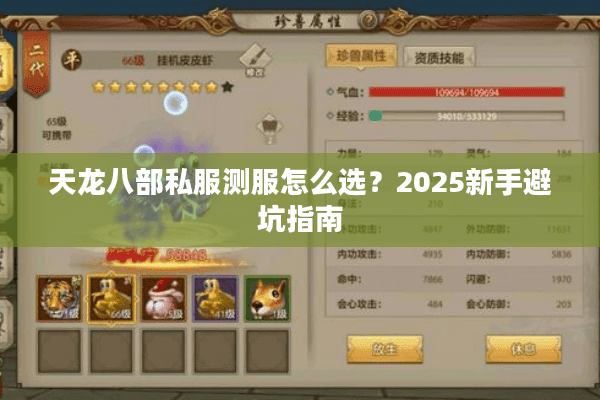 天龙八部私服测服怎么选？2025新手避坑指南