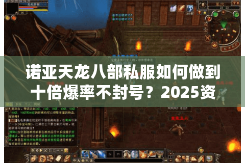 诺亚天龙八部私服如何做到十倍爆率不封号？2025资深玩家亲测避坑指南