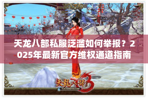 天龙八部私服泛滥如何举报？2025年最新官方维权通道指南