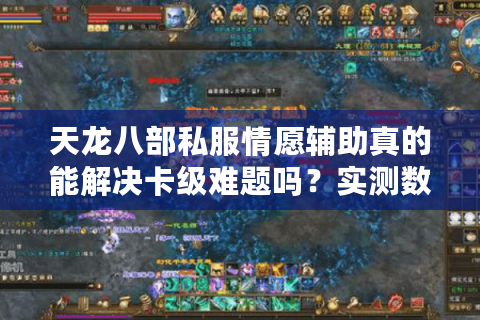 天龙八部私服情愿辅助真的能解决卡级难题吗？实测数据揭秘