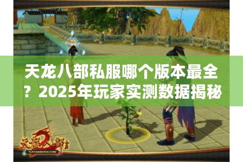 天龙八部私服哪个版本最全？2025年玩家实测数据揭秘
