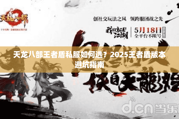 天龙八部王者盾私服如何选？2025王者盾版本避坑指南