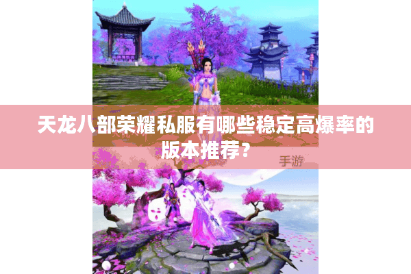 天龙八部荣耀私服有哪些稳定高爆率的版本推荐？