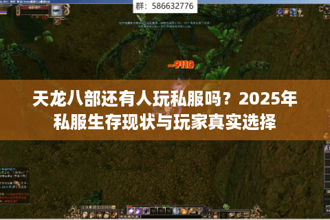 天龙八部还有人玩私服吗？2025年私服生存现状与玩家真实选择