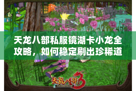 天龙八部私服镜湖卡小龙全攻略，如何稳定刷出珍稀道具？