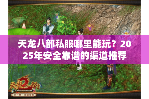 天龙八部私服哪里能玩？2025年安全靠谱的渠道推荐