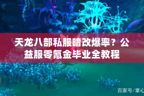 天龙八部私服暗改爆率？公益服零氪金毕业全教程
