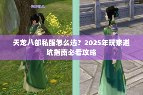 天龙八部私服怎么选？2025年玩家避坑指南必看攻略