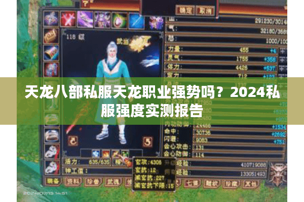 天龙八部私服天龙职业强势吗？2024私服强度实测报告