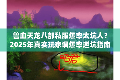 兽血天龙八部私服爆率太坑人？2025年真实玩家调爆率避坑指南
