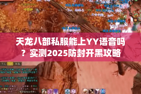天龙八部私服能上YY语音吗？实测2025防封开黑攻略