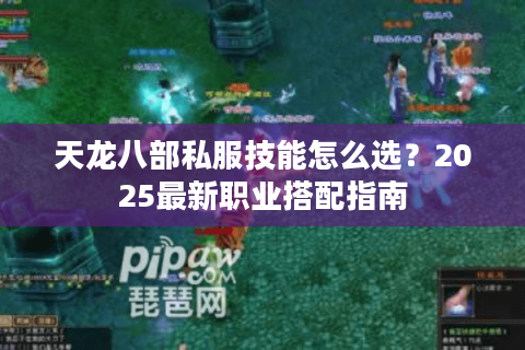 天龙八部私服技能怎么选?2025最新职业搭配指南 天龙八部私服技能怎么选?2025最新职业搭配指南