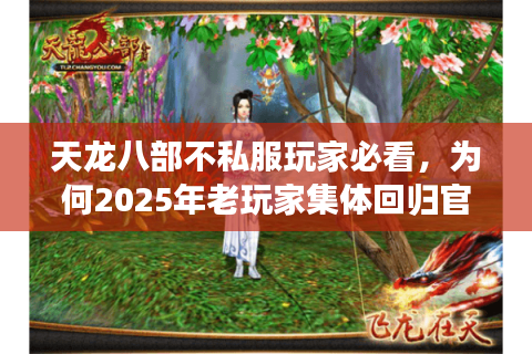 天龙八部不私服玩家必看，为何2025年老玩家集体回归官服？