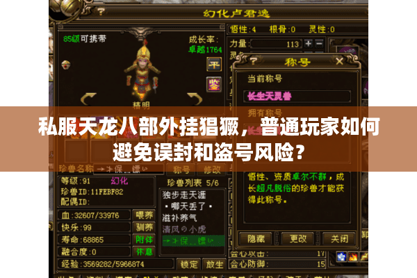 私服天龙八部外挂猖獗，普通玩家如何避免误封和盗号风险？