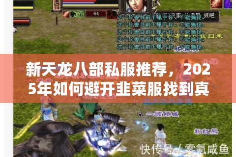新天龙八部私服推荐，2025年如何避开韭菜服找到真福利？