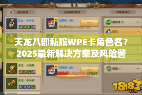 天龙八部私服WPE卡角色名？2025最新解决方案及风险警示