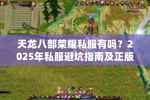 天龙八部荣耀私服有吗？2025年私服避坑指南及正版福利领取攻略