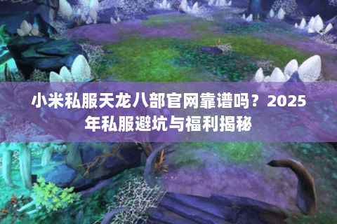 小米私服天龙八部官网靠谱吗？2025年私服避坑与福利揭秘