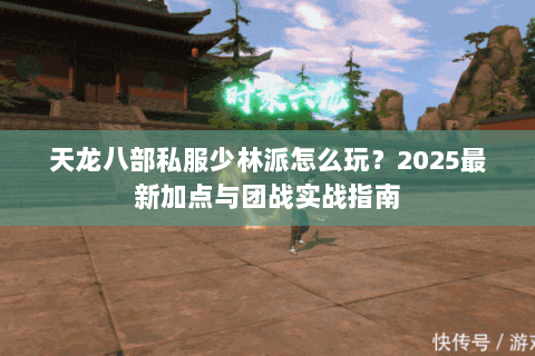天龙八部私服少林派怎么玩？2025最新加点与团战实战指南