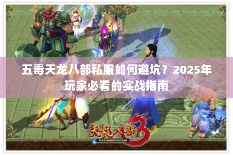 五毒天龙八部私服如何避坑？2025年玩家必看的实战指南
