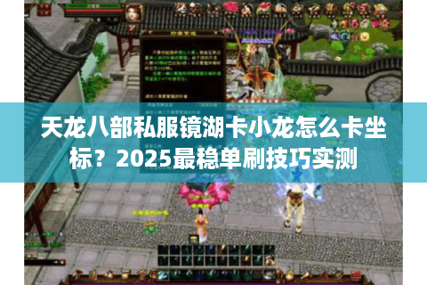天龙八部私服镜湖卡小龙怎么卡坐标？2025最稳单刷技巧实测