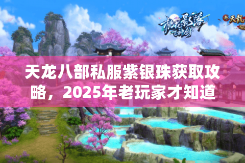天龙八部私服紫银珠获取攻略，2025年老玩家才知道的爆率提升技巧