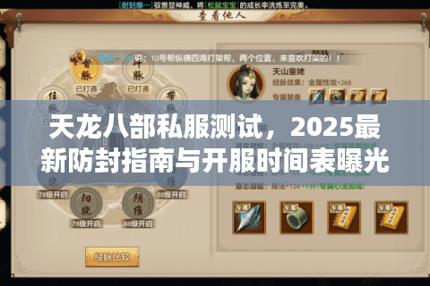 天龙八部私服测试，2025最新防封指南与开服时间表曝光