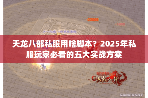 天龙八部私服用啥脚本？2025年私服玩家必看的五大实战方案