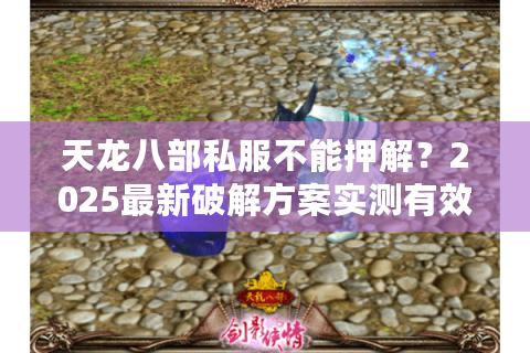 天龙八部私服不能押解？2025最新破解方案实测有效