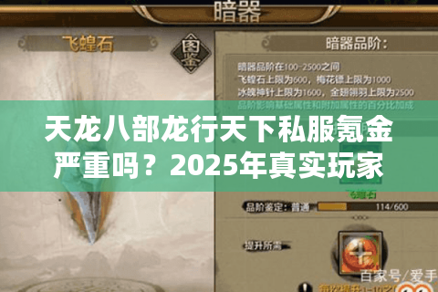 天龙八部龙行天下私服氪金严重吗？2025年真实玩家数据揭秘