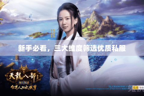 新手必看,三大维度筛选优质私服 新手必看,三大维度筛选优质私服
