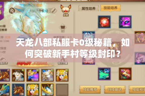 天龙八部私服卡0级秘籍,如何突破新手村等级封印? 天龙八部私服卡0级秘籍,如何突破新手村等级封印?