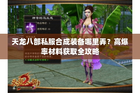 天龙八部私服合成装备哪里弄？高爆率材料获取全攻略