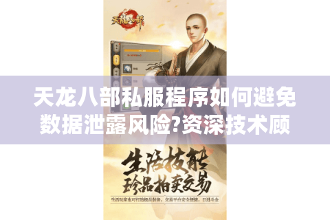 天龙八部私服程序如何避免数据泄露风险?资深技术顾问安全指南
