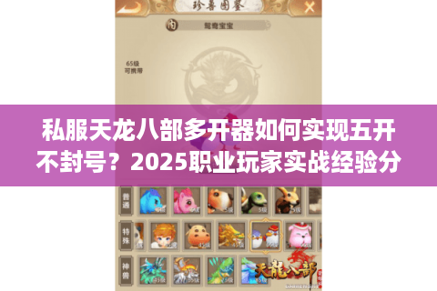 私服天龙八部多开器如何实现五开不封号？2025职业玩家实战经验分享