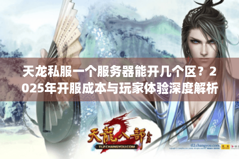 天龙私服一个服务器能开几个区？2025年开服成本与玩家体验深度解析