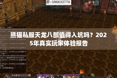 熊猫私服天龙八部值得入坑吗？2025年真实玩家体验报告