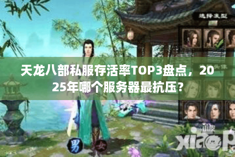 天龙八部私服存活率TOP3盘点，2025年哪个服务器最抗压？