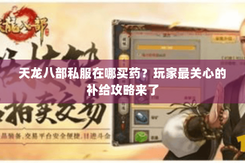 天龙八部私服在哪买药？玩家最关心的补给攻略来了