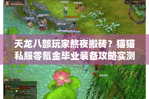 天龙八部玩家熬夜搬砖？猫猫私服零氪金毕业装备攻略实测