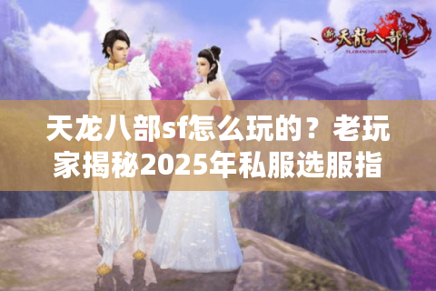 天龙八部sf怎么玩的？老玩家揭秘2025年私服选服指南