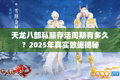 天龙八部私服存活周期有多久？2025年真实数据揭秘