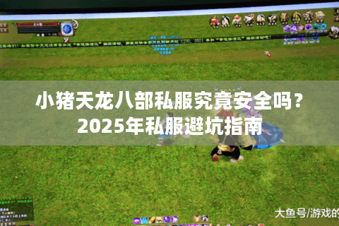 小猪天龙八部私服究竟安全吗？2025年私服避坑指南