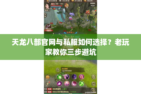 天龙八部官网与私服如何选择？老玩家教你三步避坑