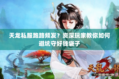 天龙私服跑路频发？资深玩家教你如何避坑守好钱袋子