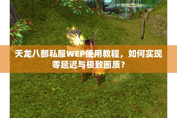 天龙八部私服WEP使用教程，如何实现零延迟与极致画质？