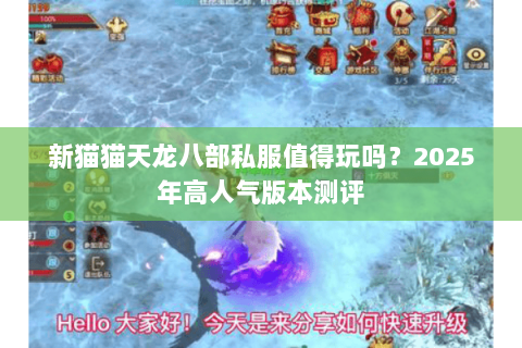 新猫猫天龙八部私服值得玩吗？2025年高人气版本测评
